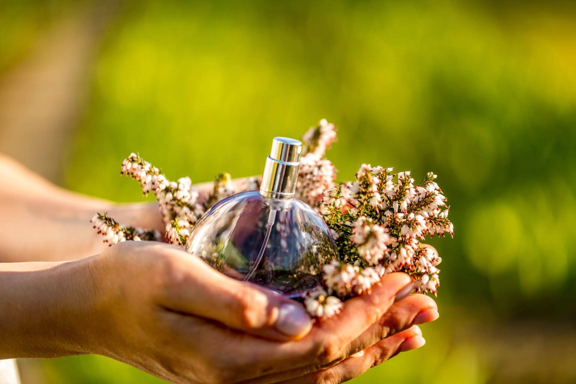 To start a new product line in a fashion company, perfume may be the ideal choice