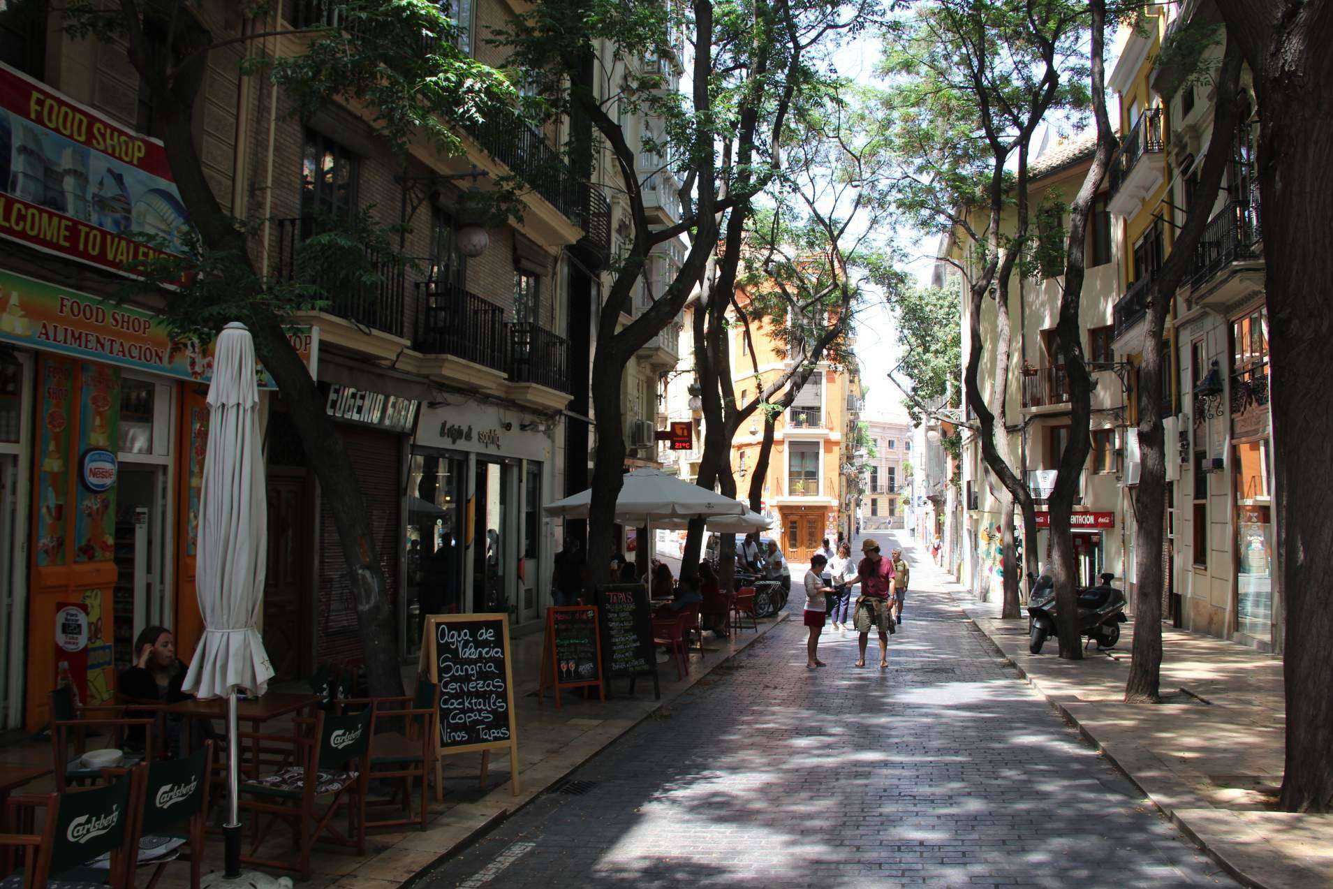 Pedaleando por Valencia, un recorrido fascinante y encantador