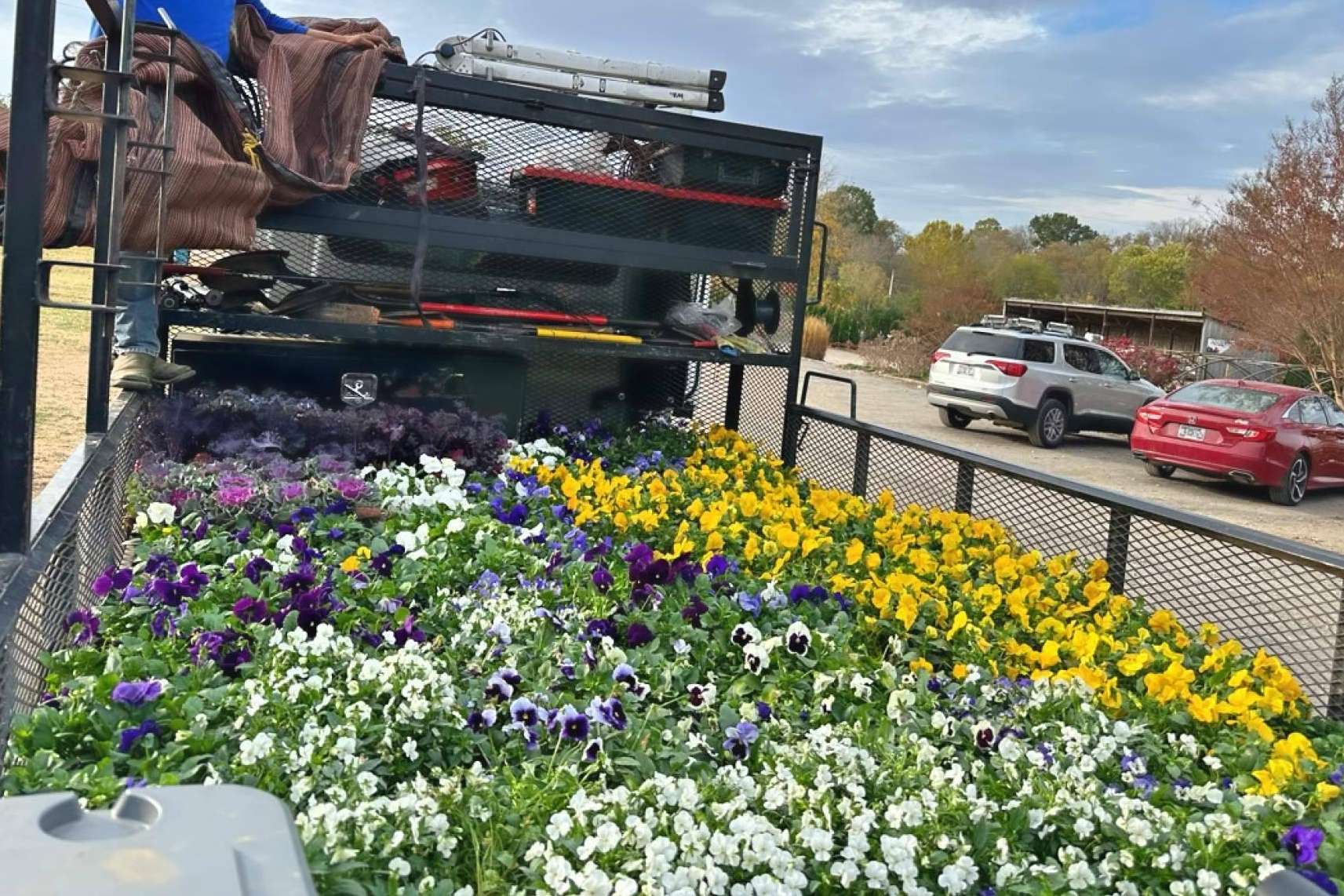 Instalación de flores de temporada, un servicio ideal para embellecer el jardín