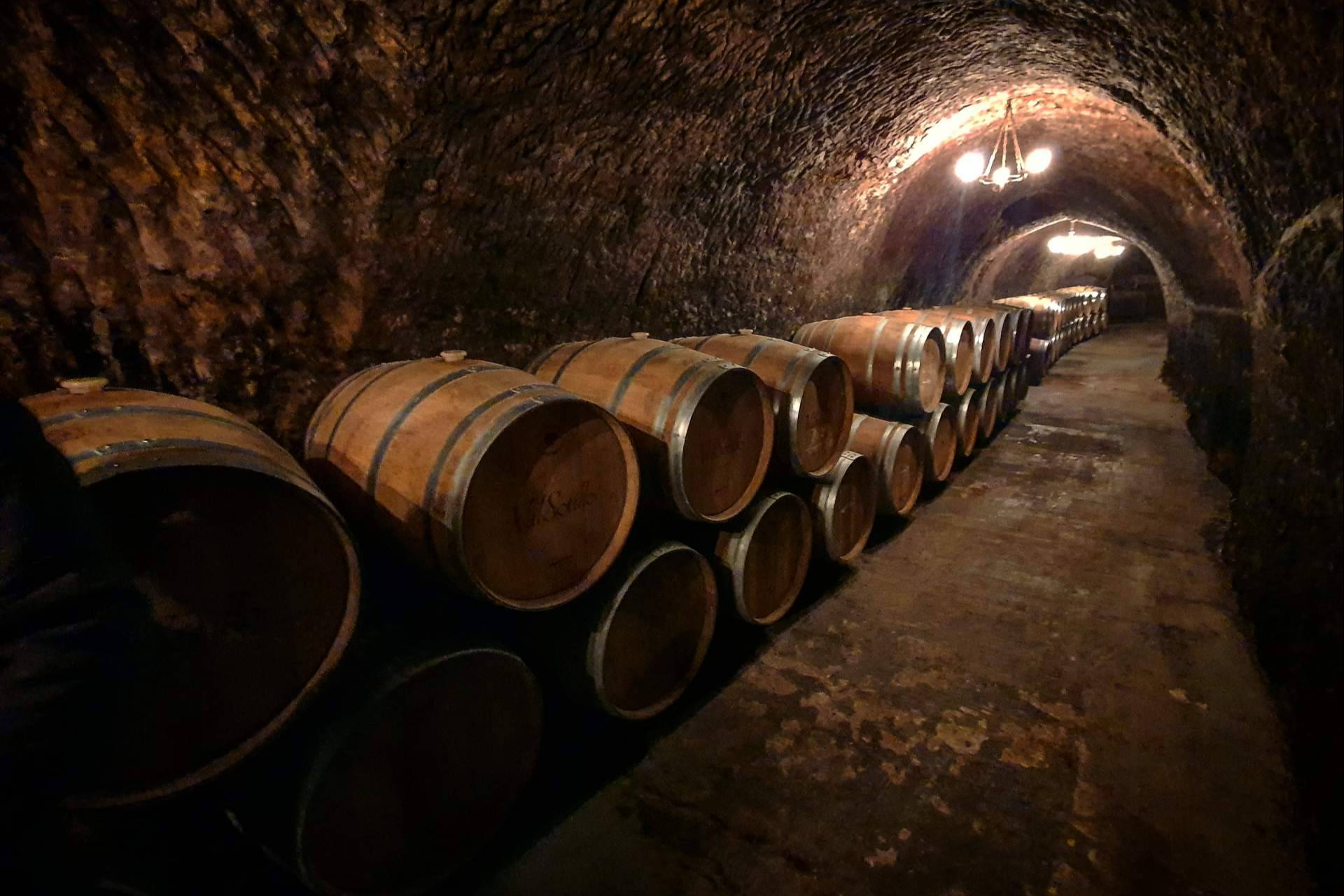 Oak and wine; an indispensable ingredient, like salt on a steak?