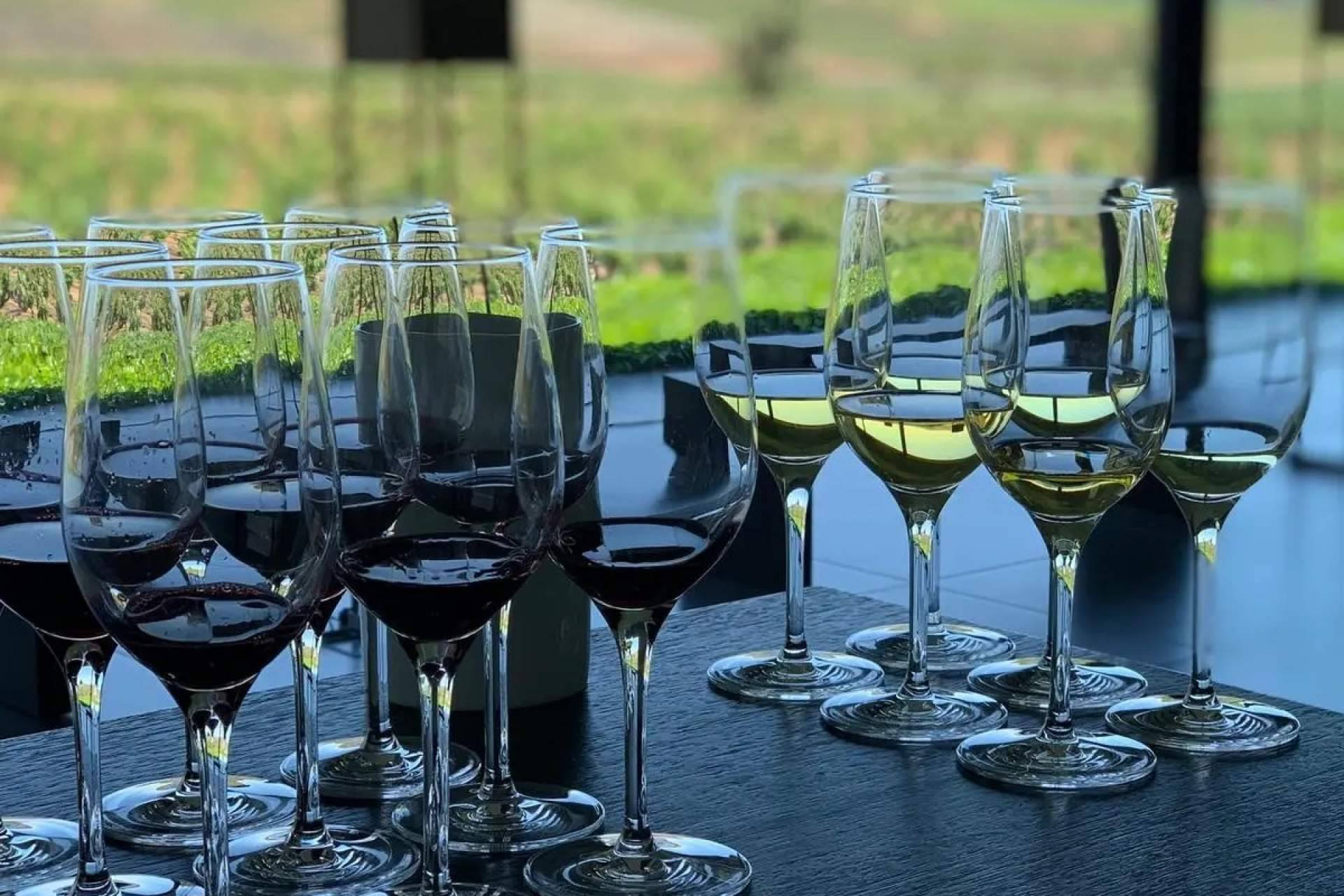 The difference between Ribera del Duero and Rioja; two wine worlds to explore from Madrid