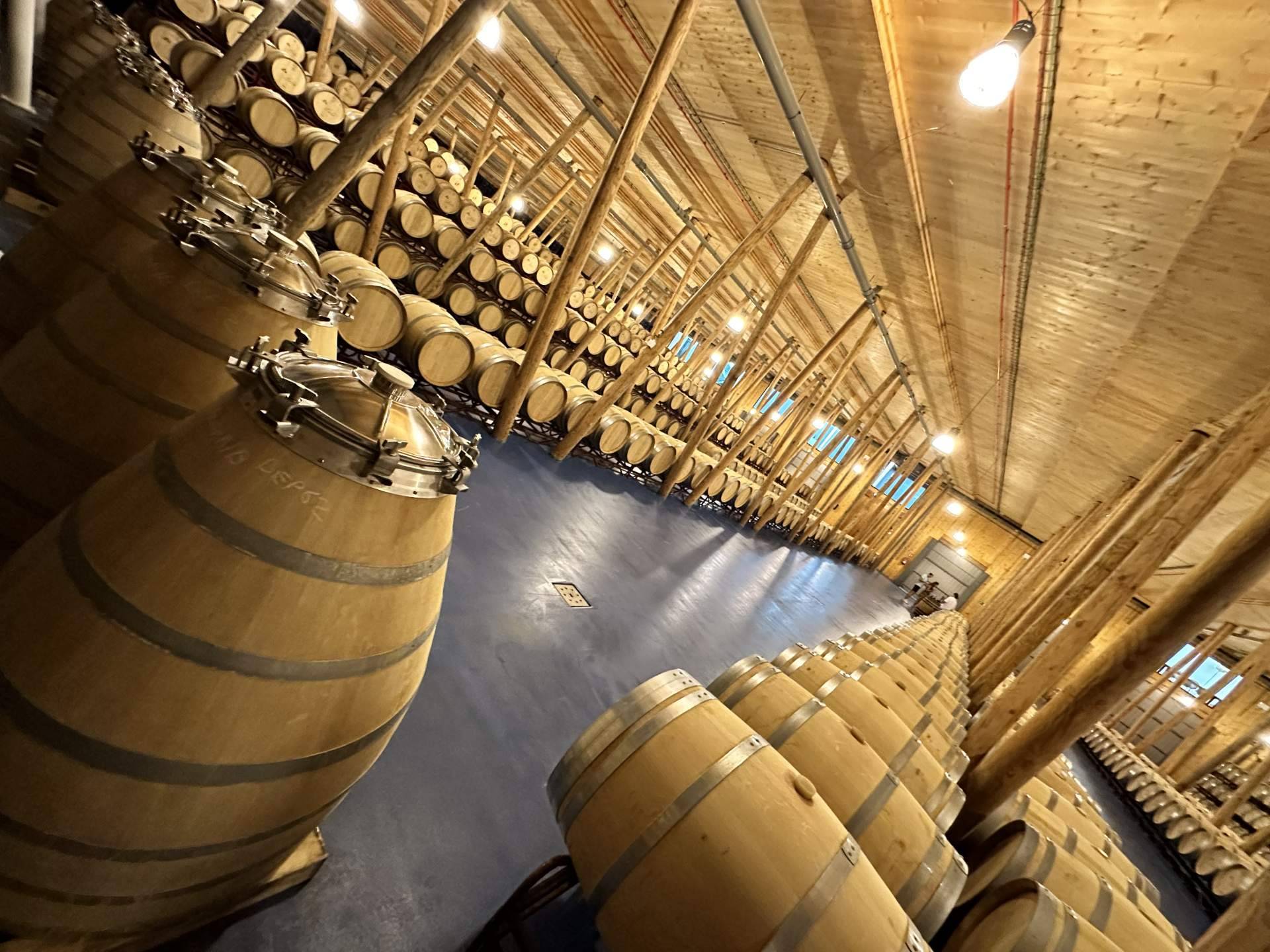 Barrel-aged wines, comparing French and American oak in traditional cellars