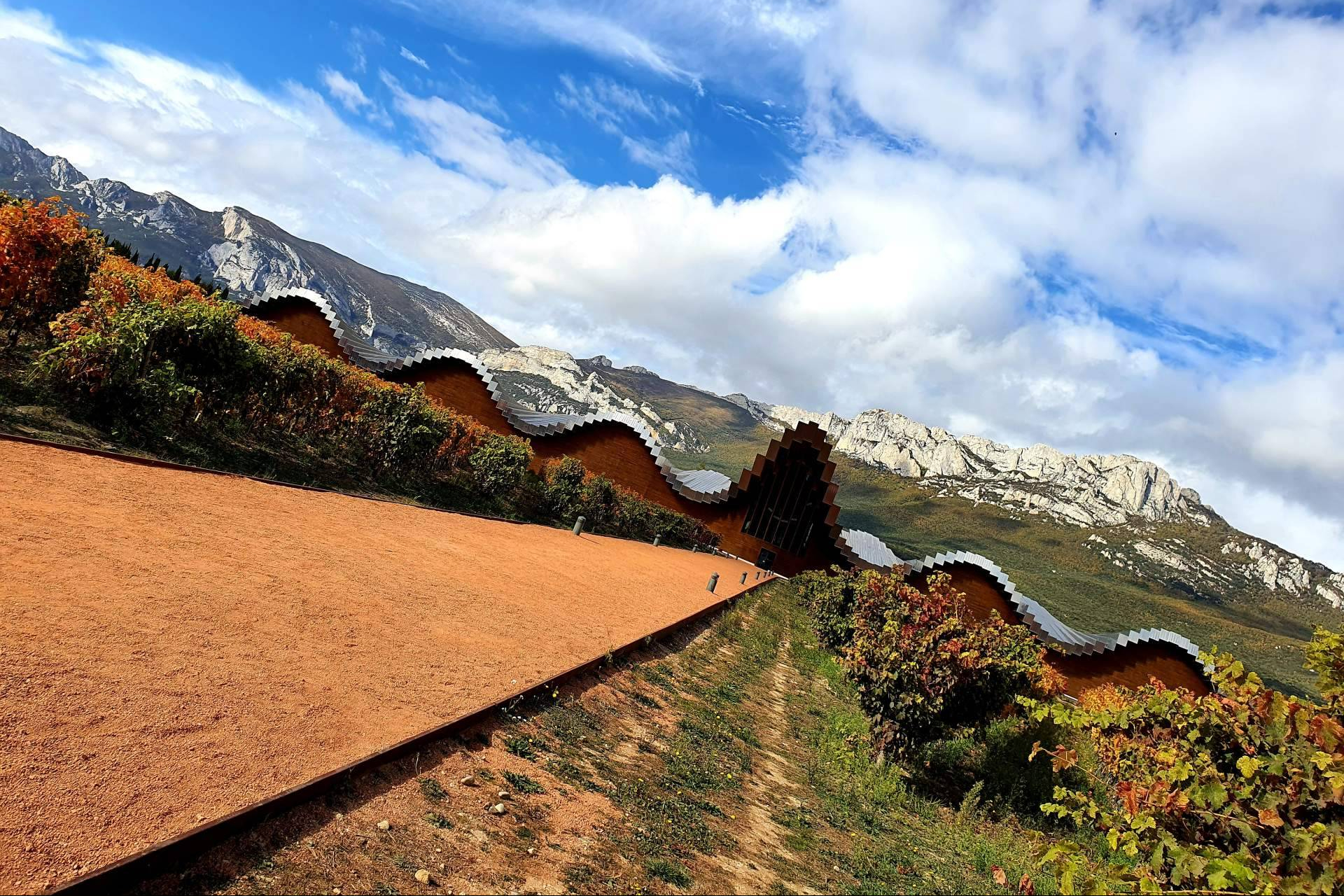 Why blend different grape varieties in the wine? Wine Tours From Madrid highlights the art of assemblage