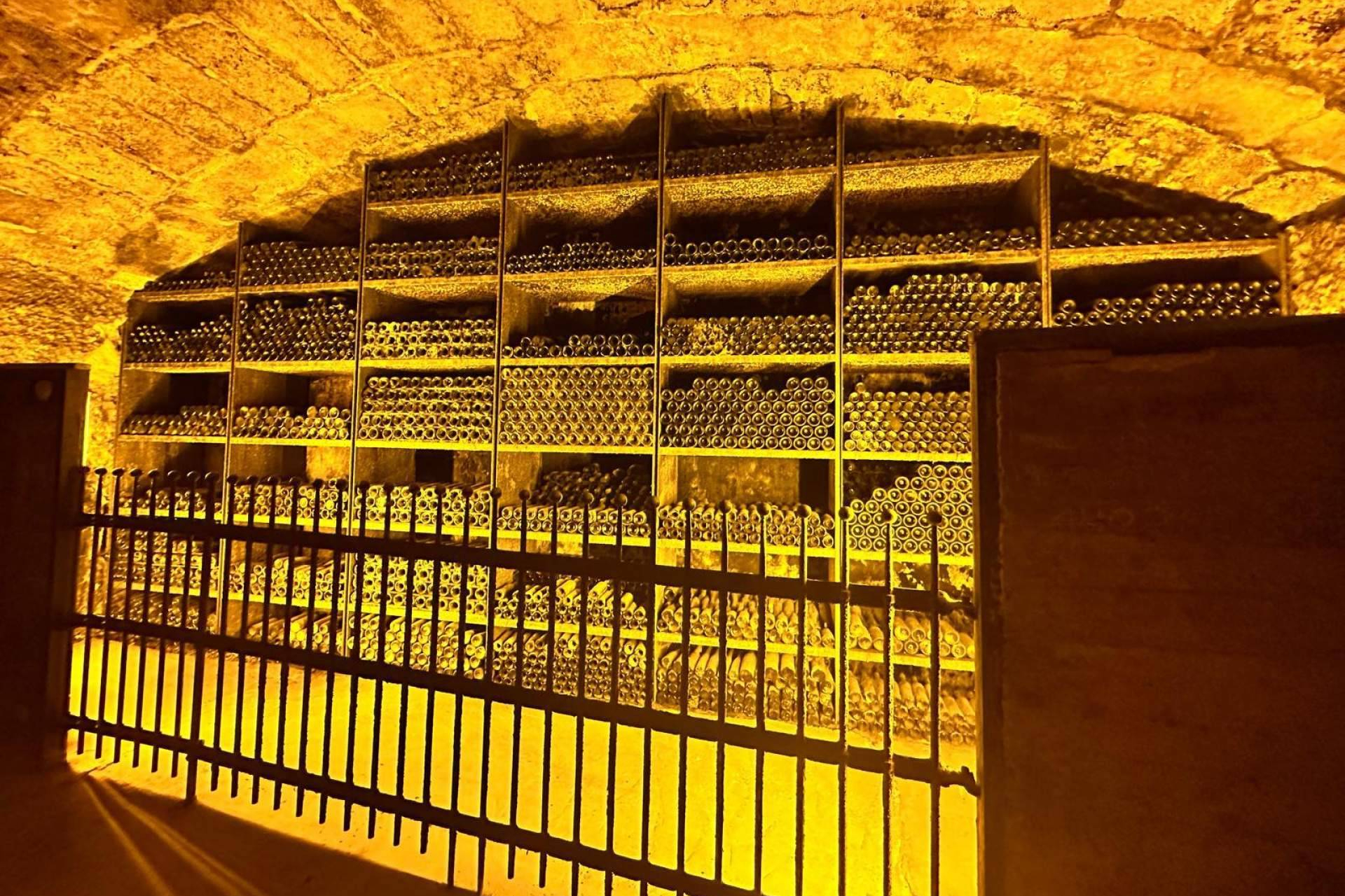 Understanding sparkling wines, differences and similarities between Champagne, Cava, Sekt and Franciacorta