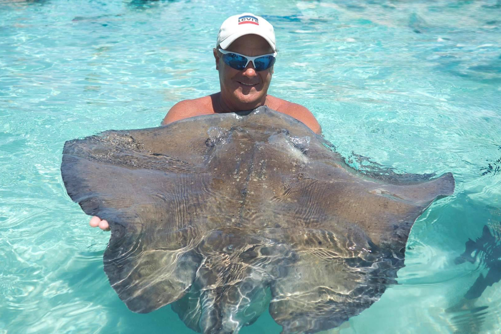 Cayman Ocean Adventures offers exclusive Stingray City tours away from crowded beaches